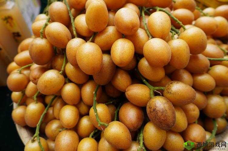 WWW 黄皮:珍贵的文化遗产