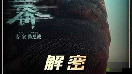 美人记与星阵系统详解探秘:千年美人情怀解密之征途