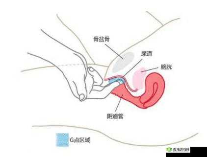 如何弄到自己喷泉:实用指南