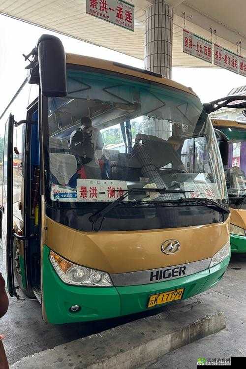 大型大巴车最后一排：人性的沦丧？