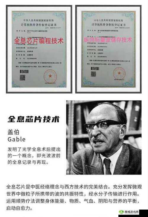 性鸥美:展现其完整性与美好