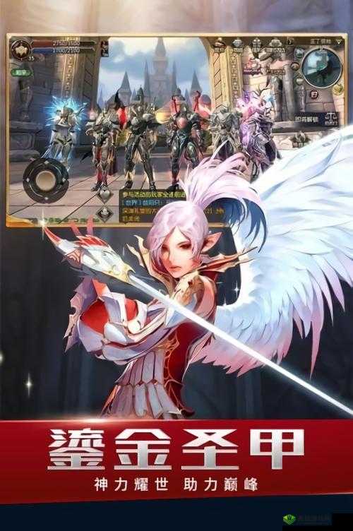 《血盟福利特权：全面解析〈天堂Ⅱ：血盟〉特权功效》