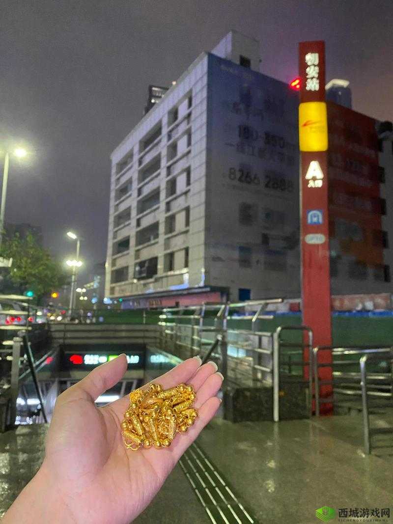 黄金网站91入口:带你领略精彩世界