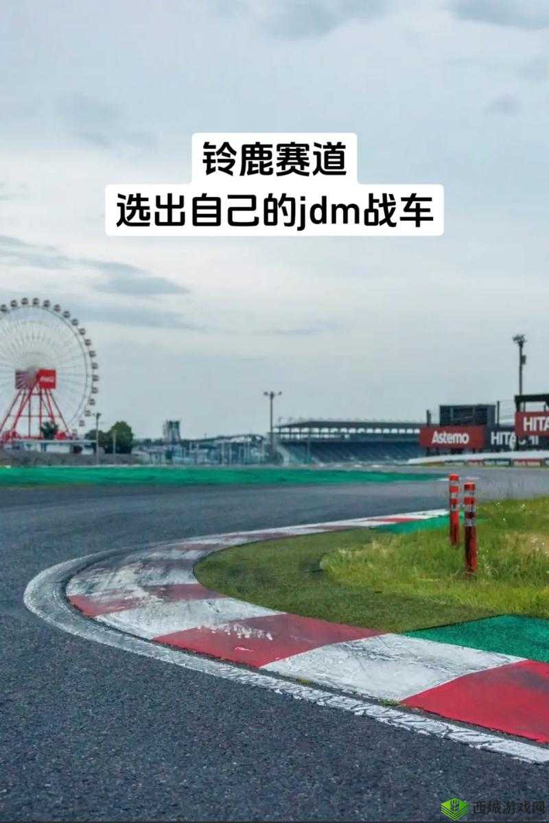 天天飞车艾薇搭配老虎首推,效果惊人,助你飞驰赛道