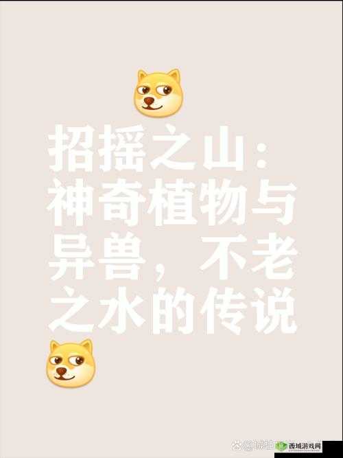 NPC 大佬的浇灌日常:奇妙的植物养成之旅