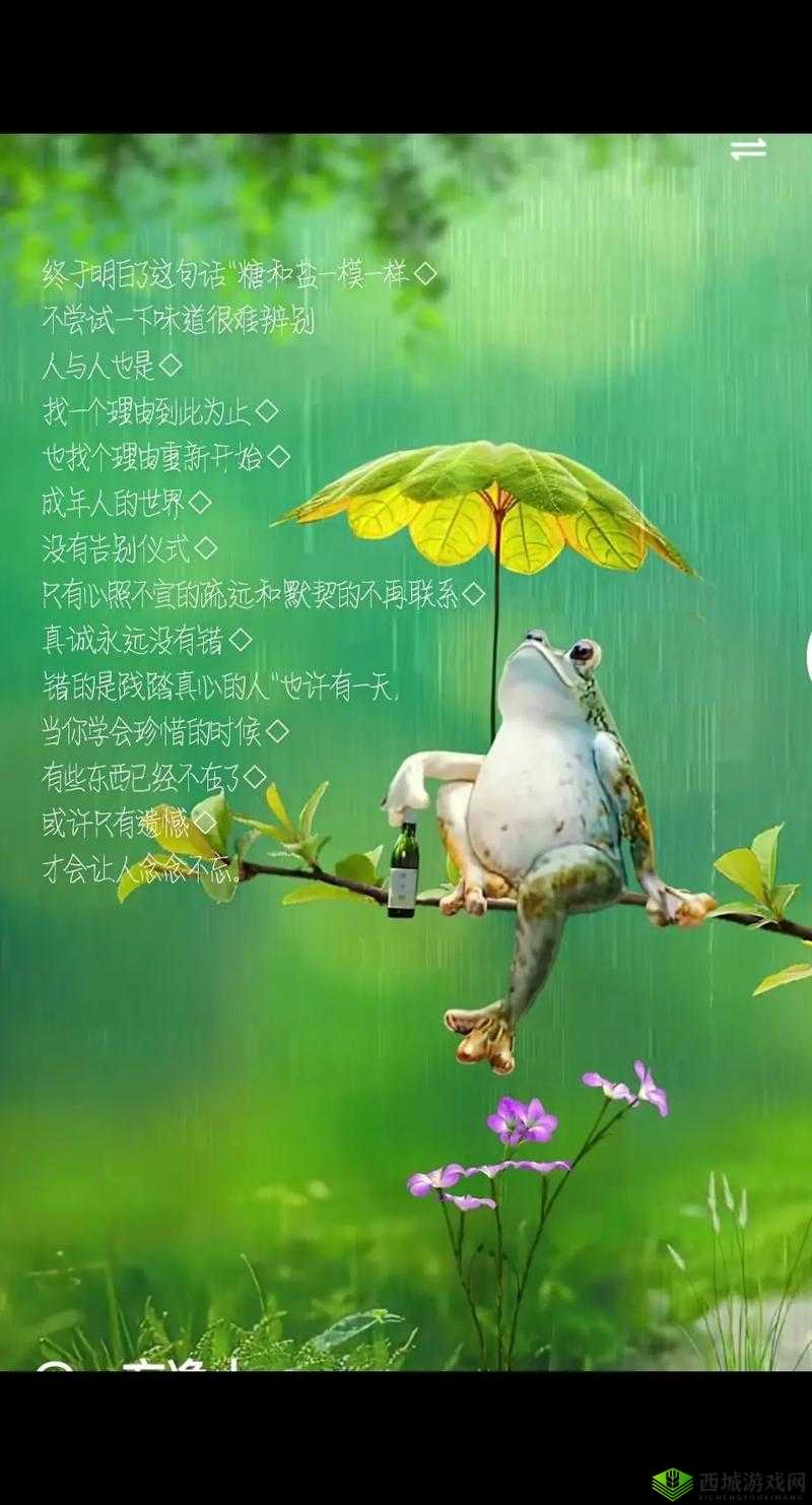 色狗导航:带你领略不一样的世界