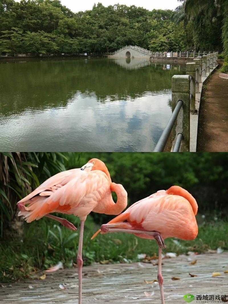 老太太毛片相关内容不适合传播和讨论