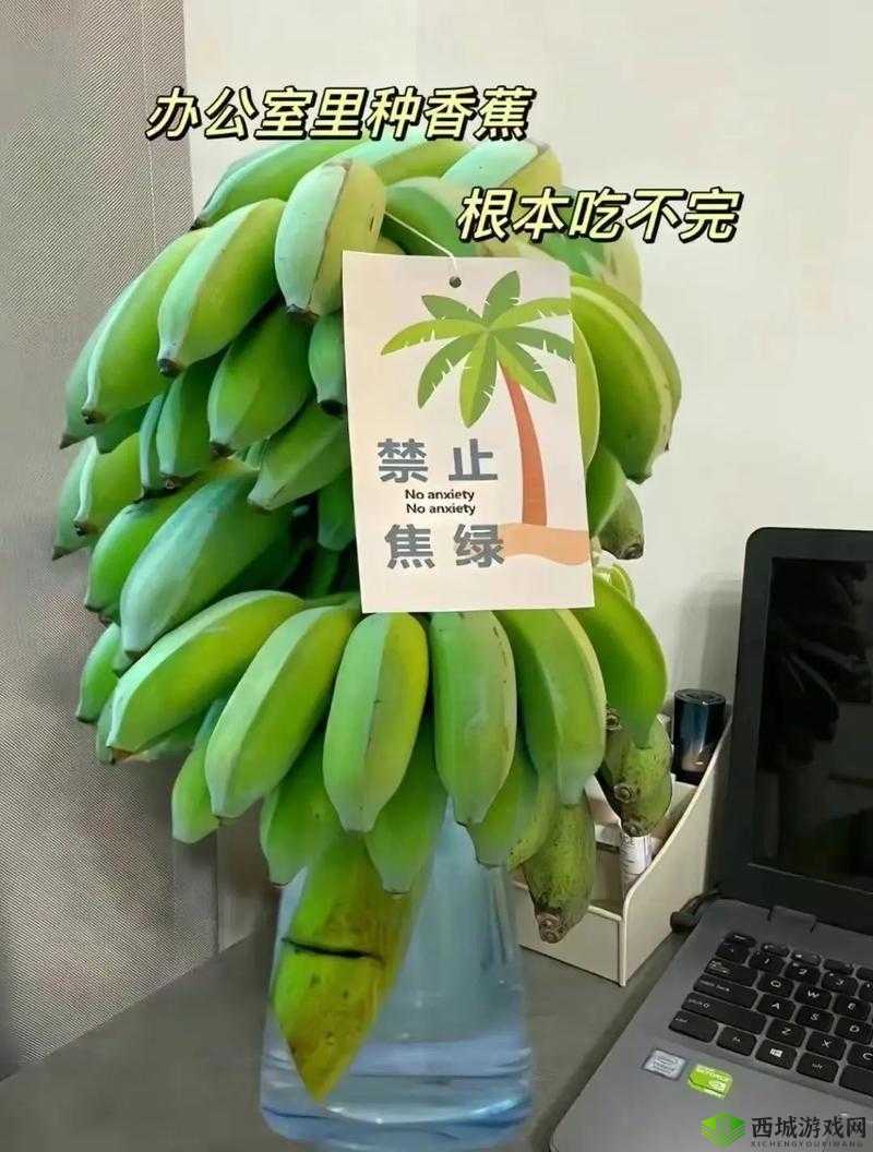 黄 www 禁止男女萝卜：一段被禁止的历史