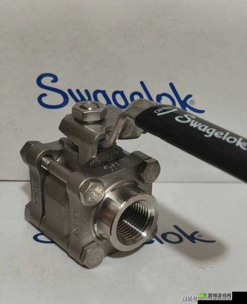 美国 SWAGELOK：优质阀门管件供应商