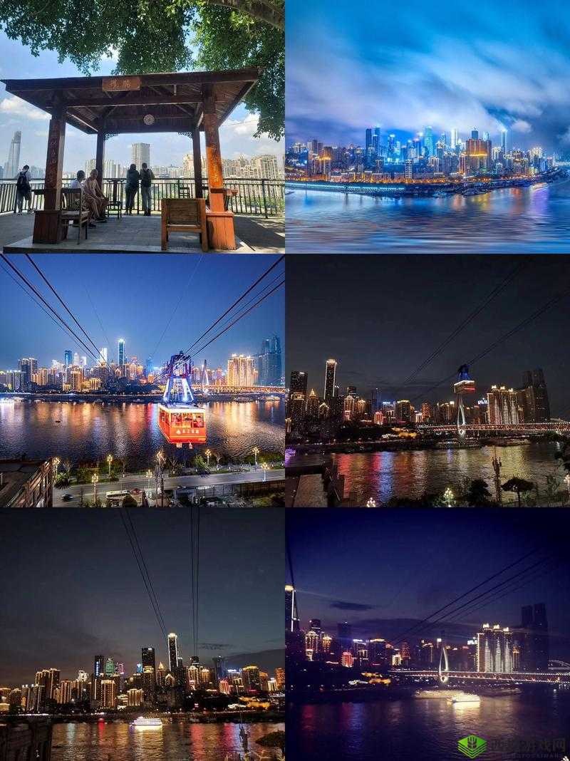 四虎域外网站:精彩内容等你来探索