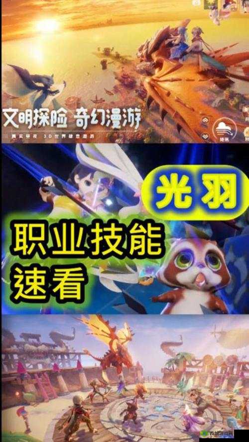 梦想新大陆:影舞与光羽,谁是最强职业?