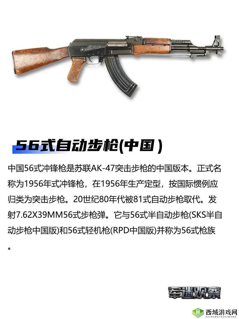 重武器篇:枪支介绍