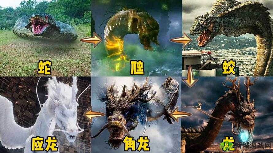 龙战龙翱翔天际:飞龙在天终极技能解析