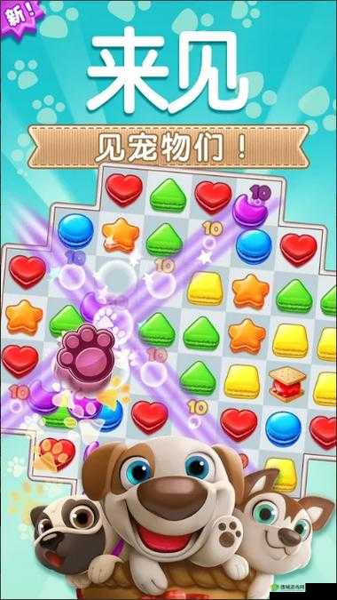 碎碎曲奇第百关个人通关攻略详解