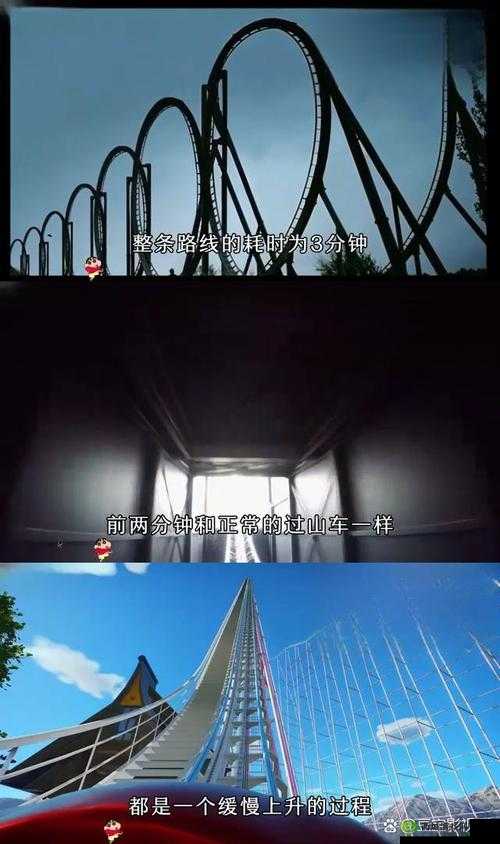 一枪闯进两扇门：生死之间的抉择