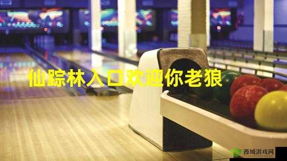 仙踪林官方网站入口欢迎您:畅享美味之旅