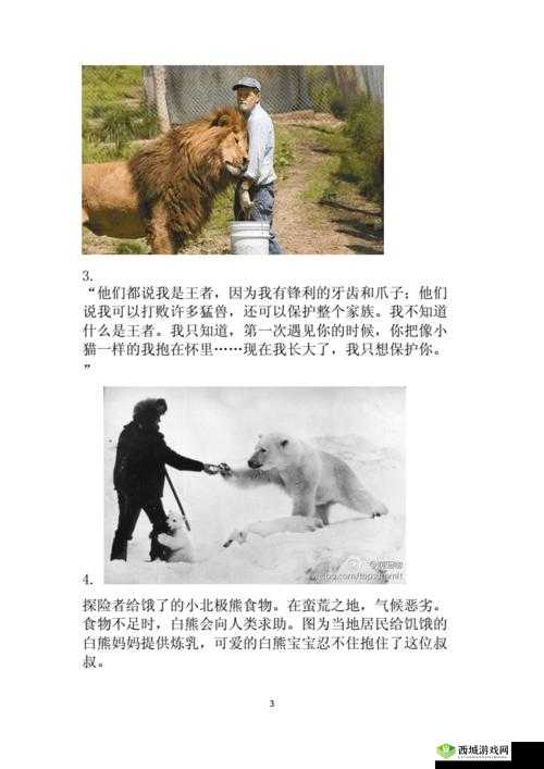 人与各种动物的奇妙故事