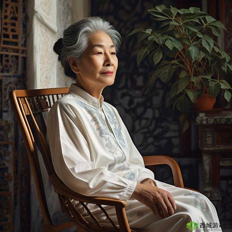 几个老婆婆的 BGM 视频:岁月的旋律