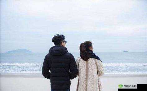 JAVAPARSERHD 夫妻:携手共赴美好未来