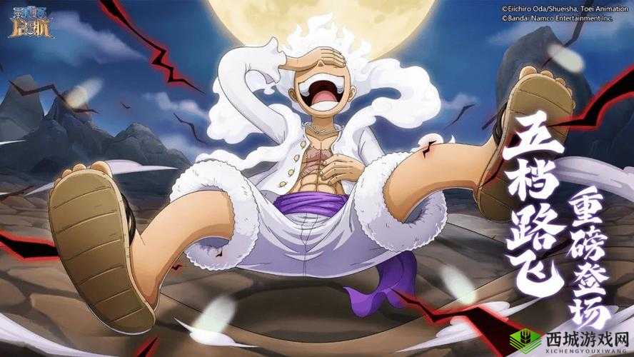 梦想海贼王新篇章启航:6月17日精彩活动抢先看