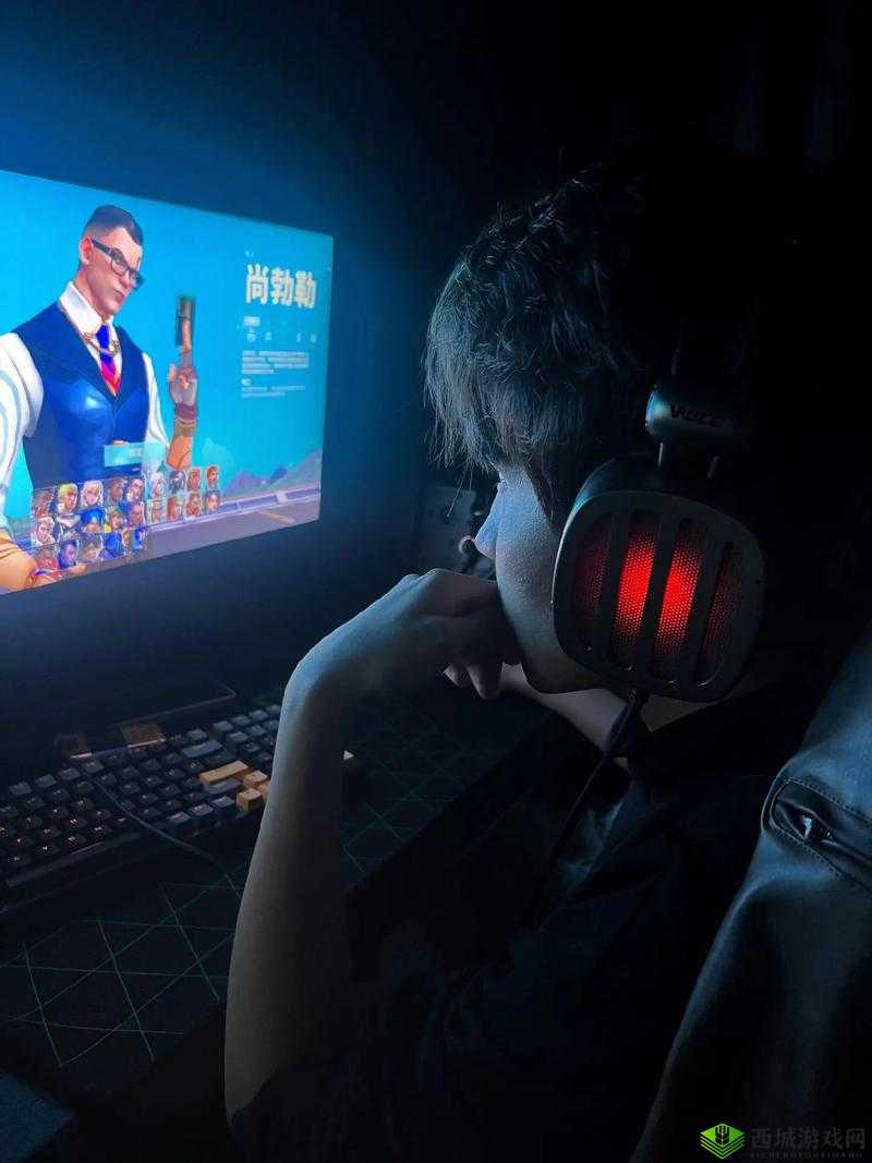 天降近卫英雄传之天怒法师:神秘力量与无畏战斗的传奇之旅