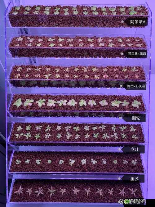 刘海吕芳小说最新章节更新时间：敬请期待