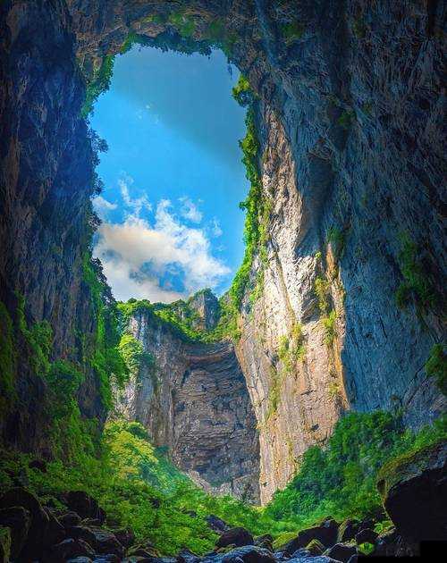 手指历险记新手攻略:高分技巧全析,助你畅玩无忧