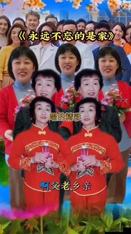 天天综合天天综合：精彩不断的综合呈现