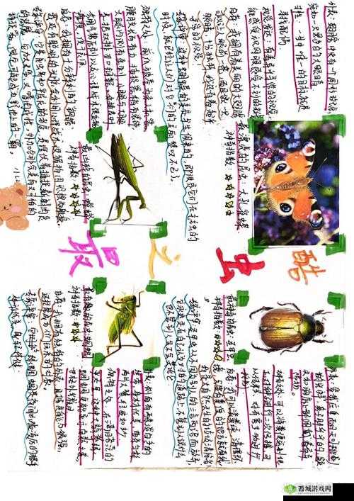 《害虫风采:独特特色抢先看》