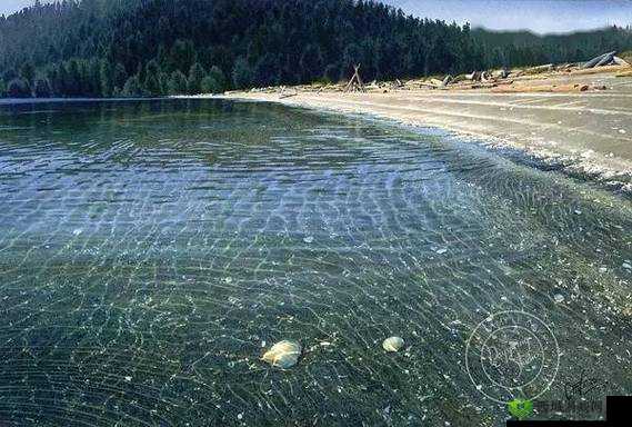 怡春院人体艺术摄影:艺术与美的完美结合