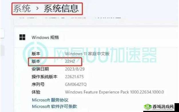 《武力侦察》闪退问题解决方案：游戏崩溃修复与故障排除指南