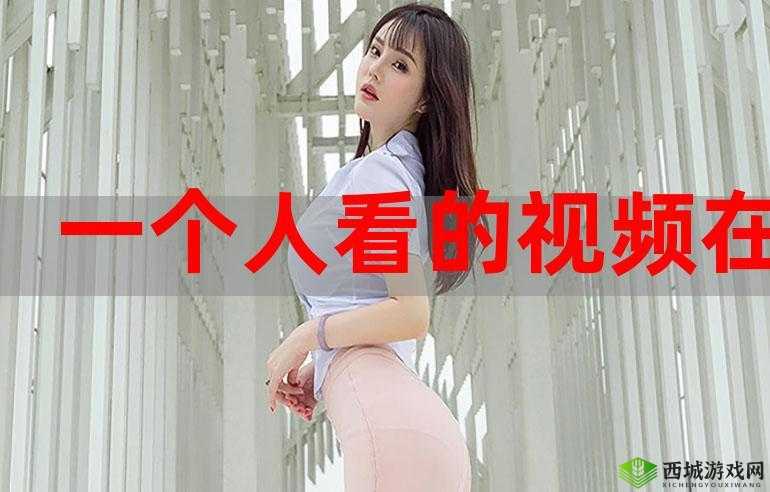 插曲视频在线观看免费版高清:精彩不断,免费畅享