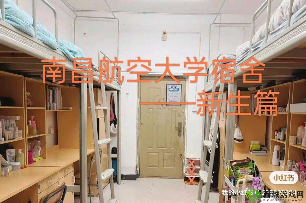 大学男生宿舍相互飞机：别样宿舍生活揭秘
