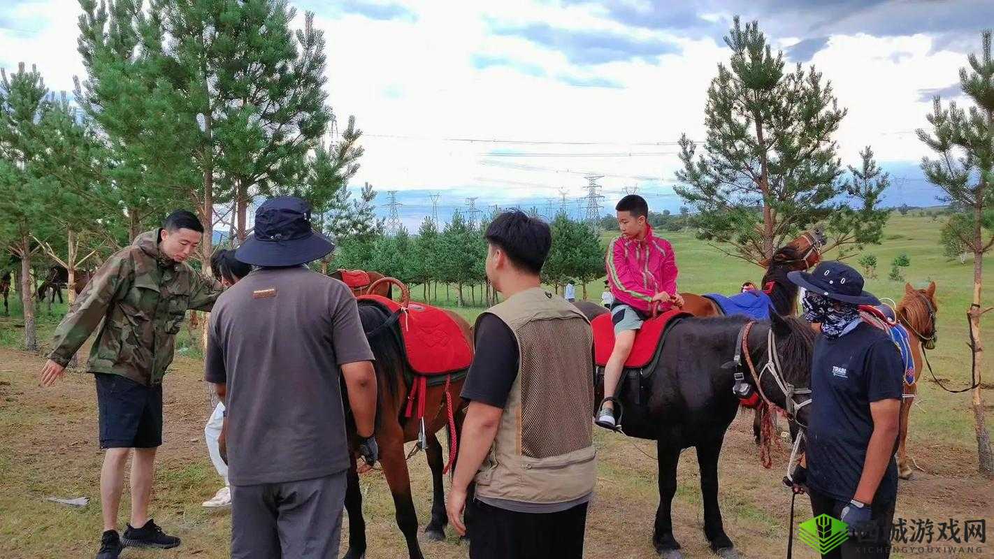 深入交流骑马:分享技巧与心得