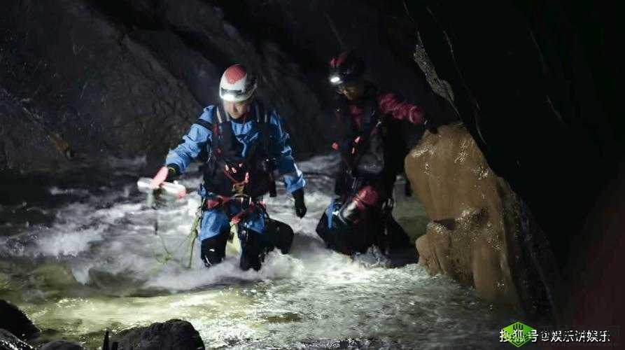 密臂:探索未知的力量