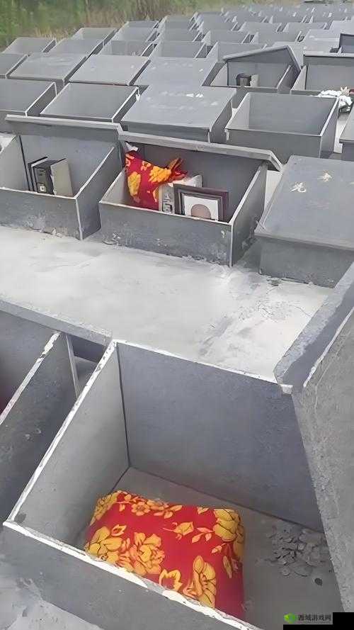 军妓被抵在树干上 H 视频：一段令人震惊的历史记录