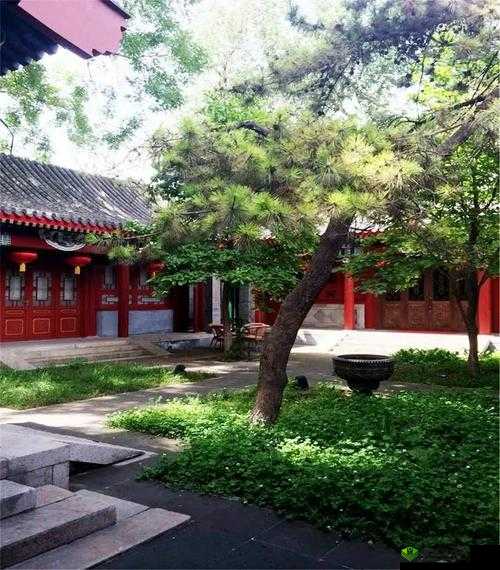 :下载人与兽黄片,感受别样刺激