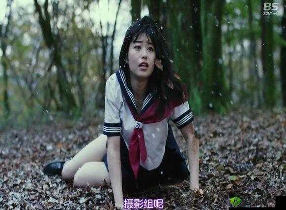 日韩午夜成人:探索未知的成人世界