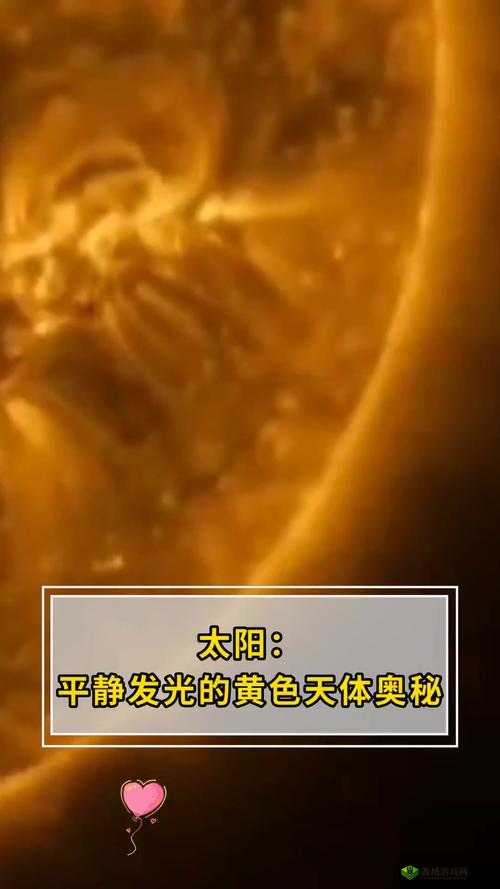 黄色网站亚洲：探索其背后的奥秘