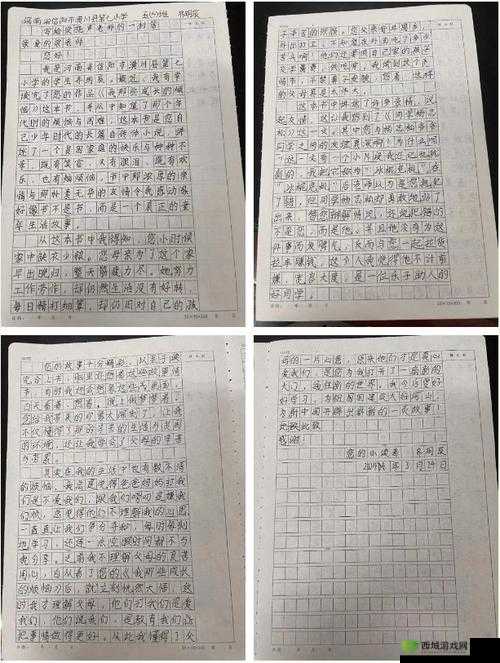 成年人 sss:成长的烦恼与收获