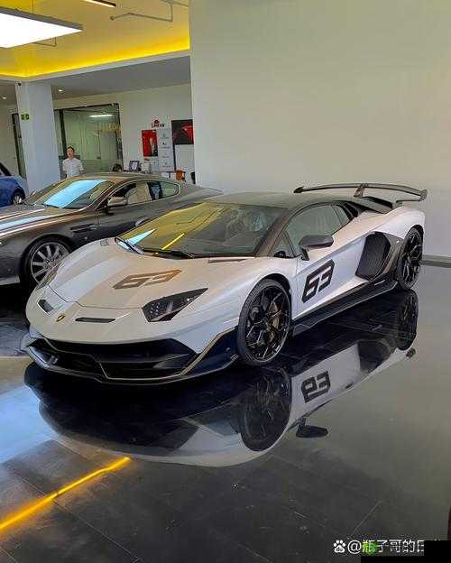 四川XXXXXLMEDJYF48:独特的标识组合