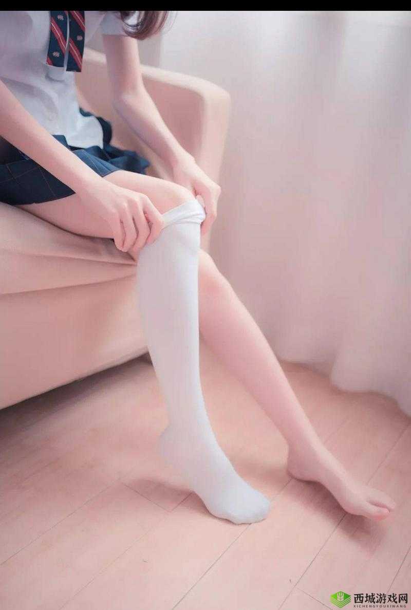 白丝露内:优雅与魅力的交织