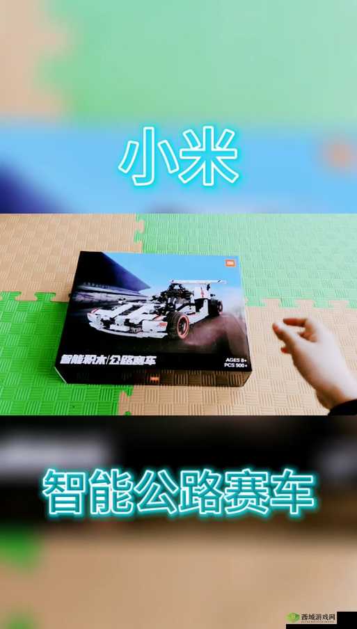 小米赛车 S 级赛车选择指南：哪款赛车更胜一筹？