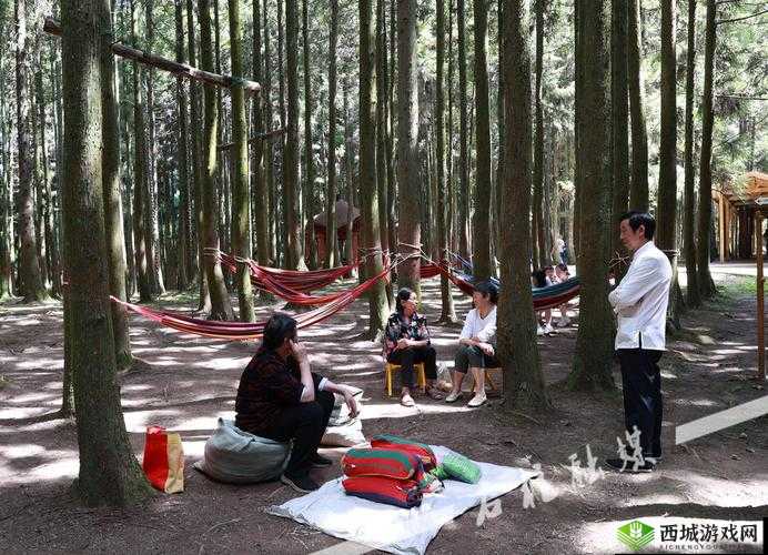 日韩射：跨越文化的激情之旅