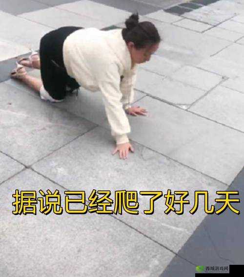 m 像狗一下爬行：奇特行为引关注