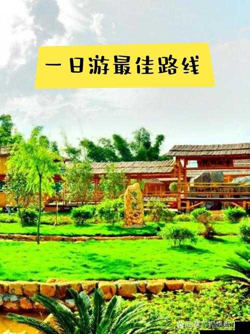 爱岛视频:带你领略独特风情