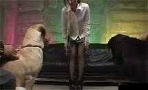 女人兽皇狗交：禁忌之爱背后的真相