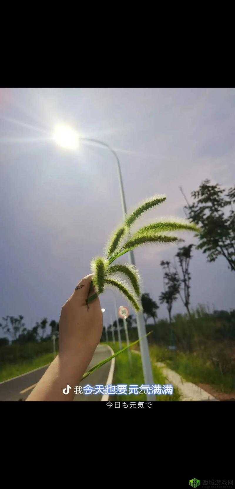 操毛:探索生命的奥秘