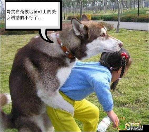 美女被操逼：不堪入目？