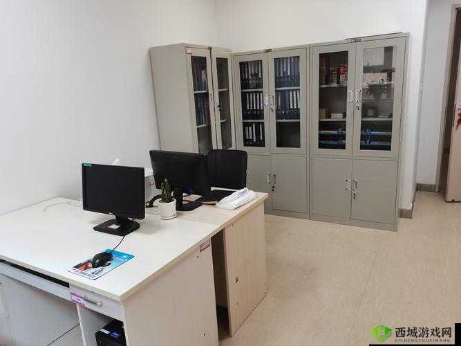 护士长办公室躁 BD